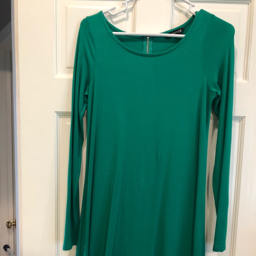 Express Casual Long Sleeve Dress - GREAT for Fall